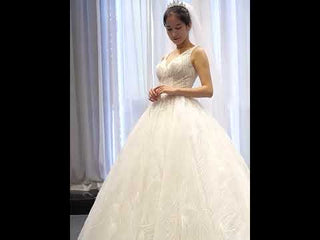 Sparkly Ball Gown Lace Vneck Wedding Dress with Feather