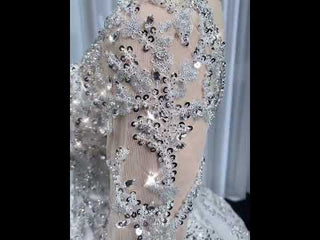 Sparkly Luxury Princess Puffy Wedding Dress with Long Sleeve