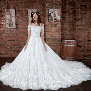 Princess Ball Gown Tulle and Lace Wedding Dress with Short Sleeve - Rosymae