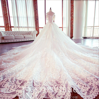 Princess Ball Gown Tulle and Lace Wedding Dress with Short Sleeve - Rosymae