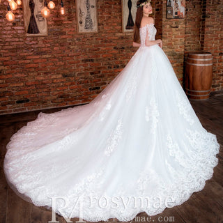 Princess Ball Gown Tulle and Lace Wedding Dress with Short Sleeve - Rosymae