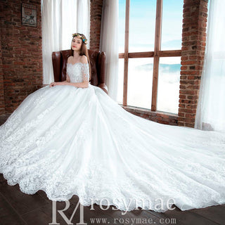 Princess Ball Gown Tulle and Lace Wedding Dress with Short Sleeve - Rosymae