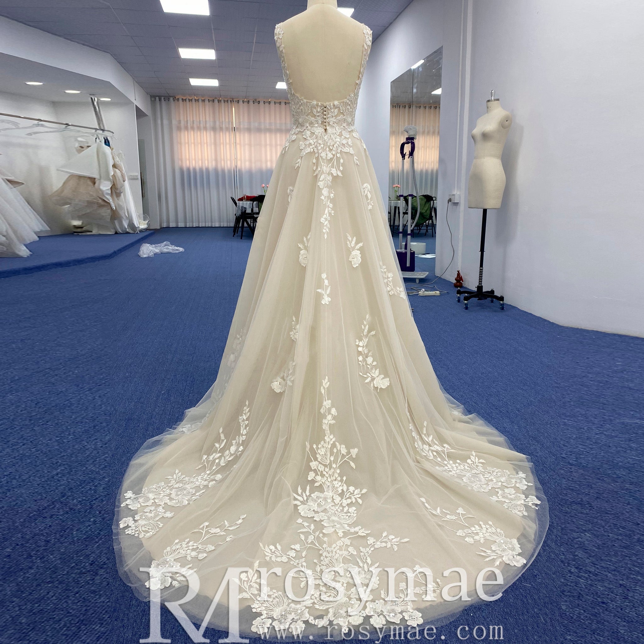 Princess Champagne Tulle Lace A-line Wedding Dress with Vneck - Rosymae