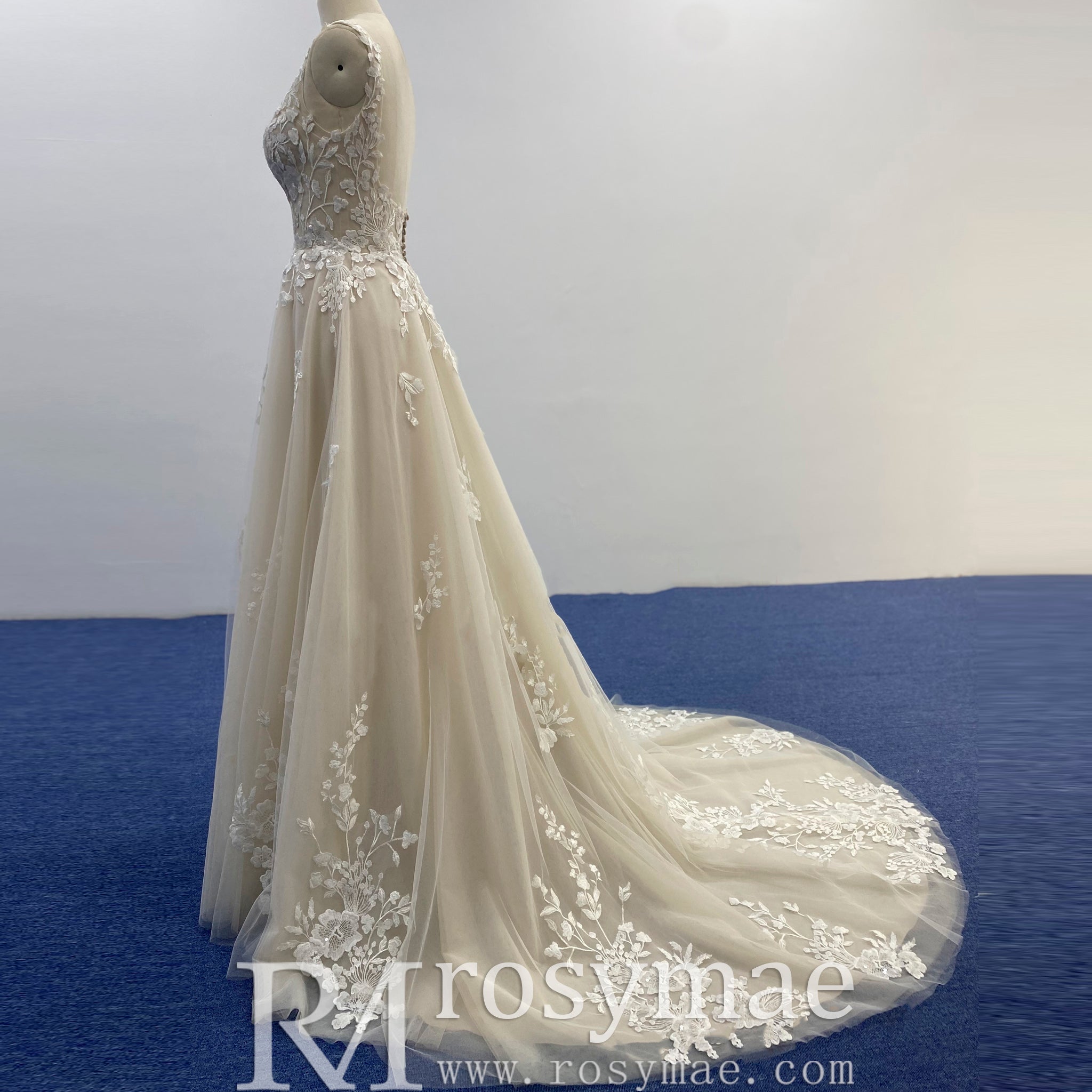 Princess Champagne Tulle Lace A-line Wedding Dress with Vneck - Rosymae