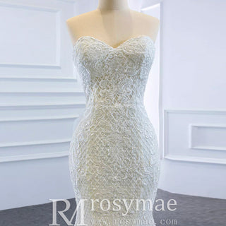 Princess Vneck Trumpet Lace Wedding Dress with Detachable Train - Rosymae