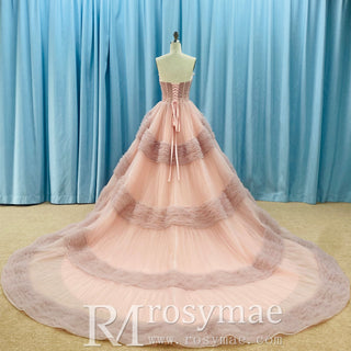 Quinceanera Celebrity Dress Tulle Sweet 16 Ball Gown Wedding Dress - Rosymae