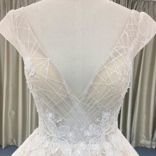 Romantic Light Champagne Deep V-neck Wedding Dress with Low Back - Rosymae