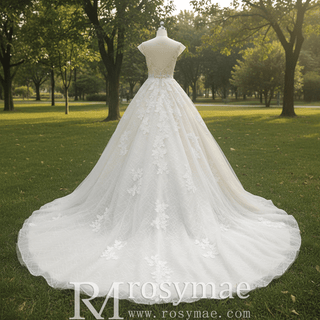 Romantic Light Champagne Deep V-neck Wedding Dress with Low Back - Rosymae