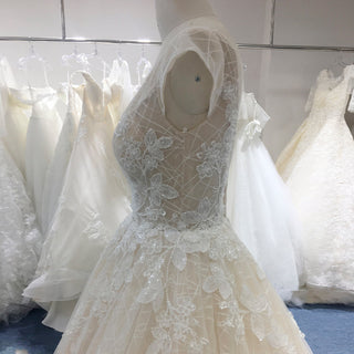 Romantic Light Champagne Deep V-neck Wedding Dress with Low Back - Rosymae