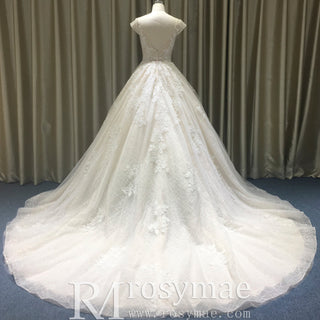 Romantic Light Champagne Deep V-neck Wedding Dress with Low Back - Rosymae