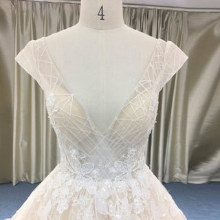 Romantic Light Champagne Deep V-neck Wedding Dress with Low Back - Rosymae