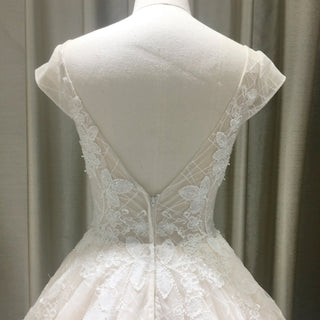 Romantic Light Champagne Deep V-neck Wedding Dress with Low Back - Rosymae