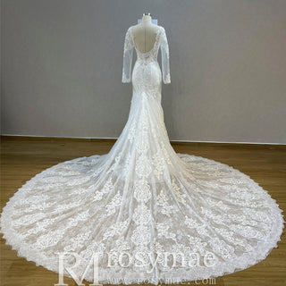 Romantic Vneck Fit and Flare Lace Wedding Dress with Long Sleeves - Rosymae