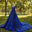 Royal Blue