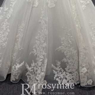 Elegant A Line Sheer Bodice Lace Appliqued Wedding Dress with Low Back
