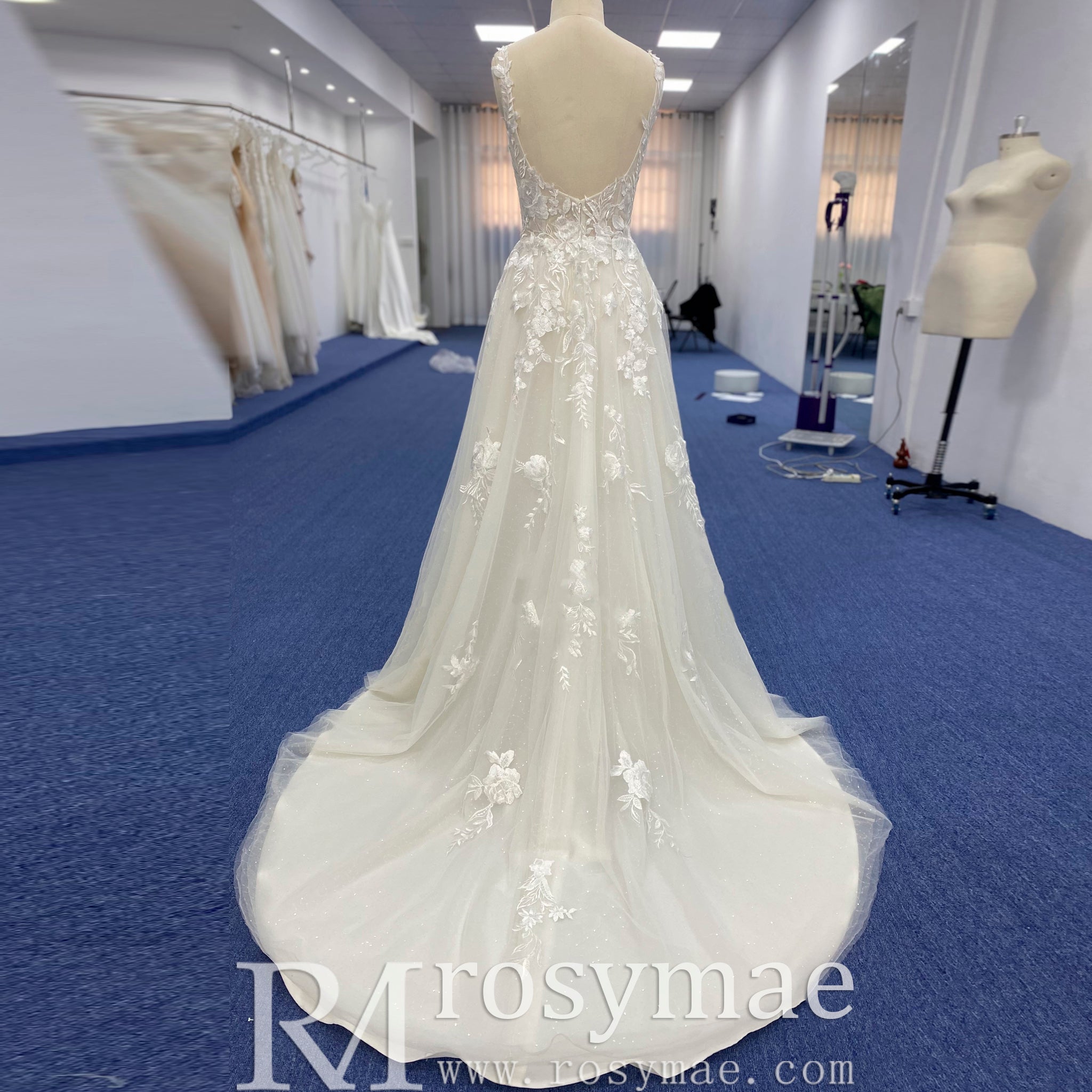 Sheer Bodice Elegant Tulle Lace A-line Wedding Dress with Vneck - Rosymae