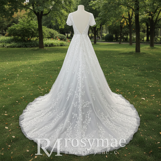 Lace Short Sleeve Wedding Dresses A Line Bridal Gowns with Deep Vneck