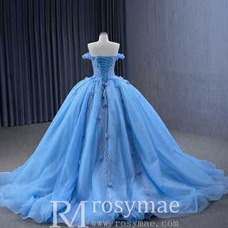 Sky Blue Quinceanera Dress Elegant Ball Gown Evening Party Dresses - Rosymae