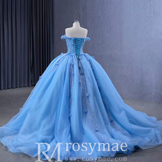 Sky Blue Quinceanera Dress Elegant Ball Gown Evening Party Dresses - Rosymae
