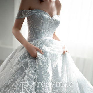 Ball Gown Sparkly Wedding Dress with Off the Shoulder