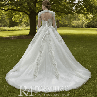 Sparkle Ball Gown Wedding Dress with Sheer Long Sleeve - Rosymae
