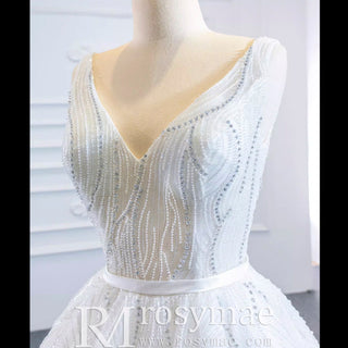 Sparkly Ball Gown Lace Vneck Wedding Dress with Feather - Rosymae