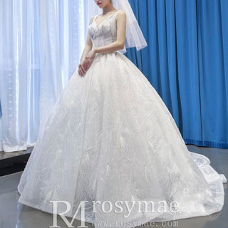 Sparkly Ball Gown Lace Vneck Wedding Dress with Feather - Rosymae