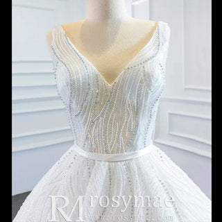 Sparkly Ball Gown Lace Vneck Wedding Dress with Feather - Rosymae