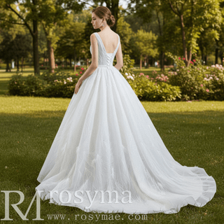 Sparkly Ball Gown Lace Vneck Wedding Dress with Feather - Rosymae