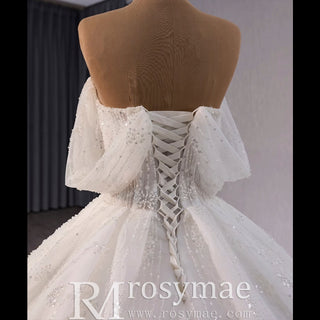 Sparkly Ball Gown Off the Shoulder Wedding Dress with Sheer Bodice - Rosymae
