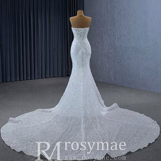 Sparkly High-end Fit and Flare Wedding Dress with Sheer Bodice - Rosymae