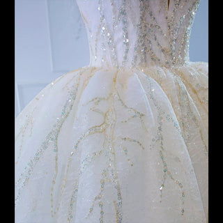 Sparkly Lace Wedding Dress V-neck Beaded Ball Gown with Low Back - Rosymae