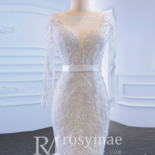 Sparkly Long Sleeve Lace Mermaid Wedding Dress with Low Back - Rosymae