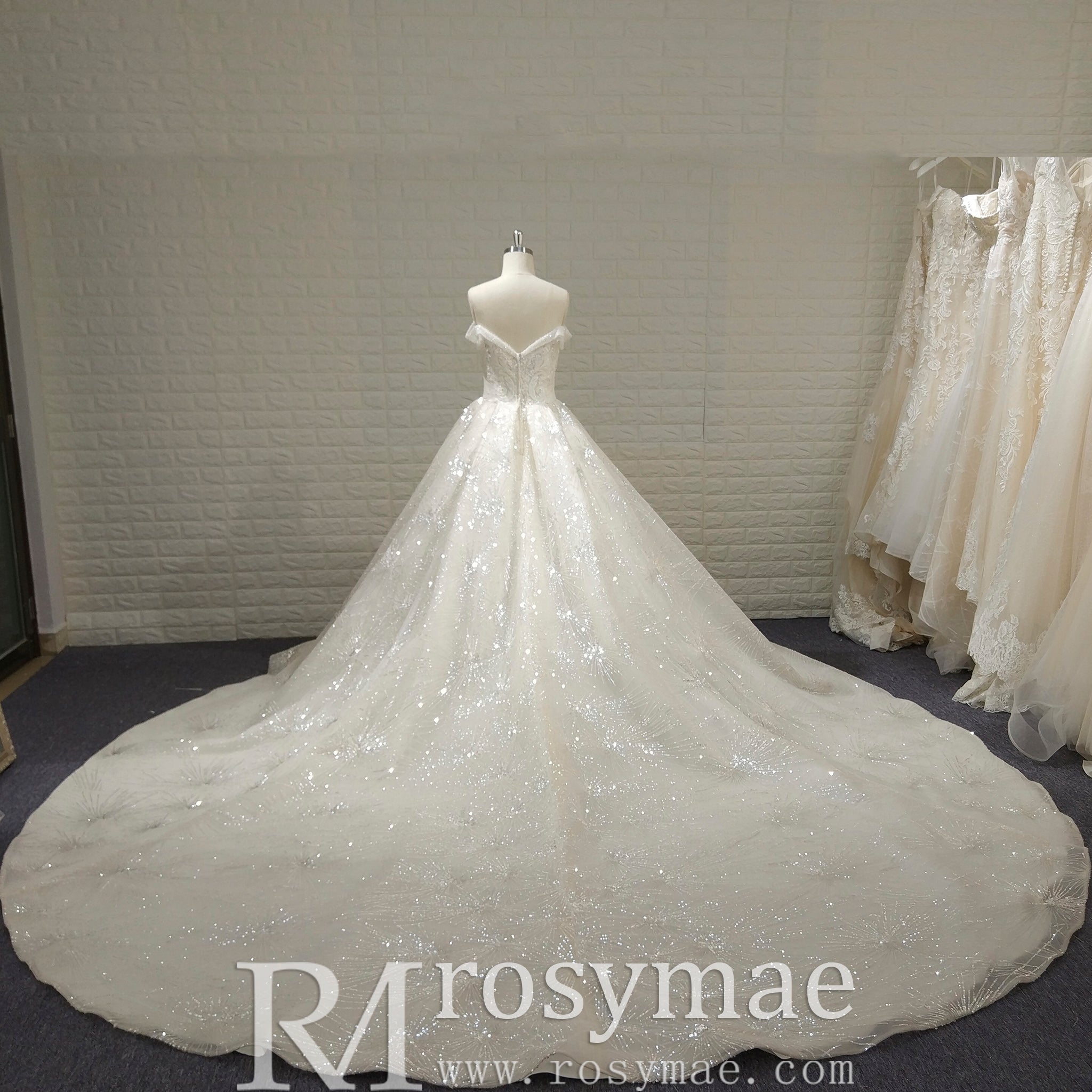 Sparkly Luxury Ball Gown Princess Wedding Dress with Off the Shoulder - Rosymae