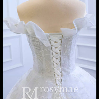 Sparkly Off the Shoulder Ball Gown Wedding Dress with Long Train - Rosymae