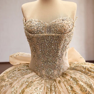 Sparkly Quinceañera Dress with Multi-Layered Back Bow & Voluminous Tiered Ruffles