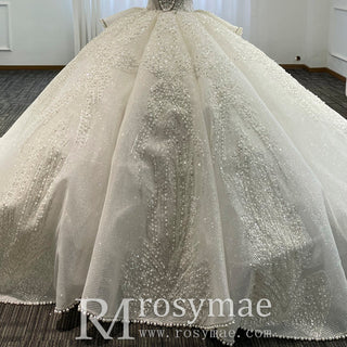 Sparkly Wedding Dresses Glitter Wedding Gowns with Puffy Skirt - Rosymae