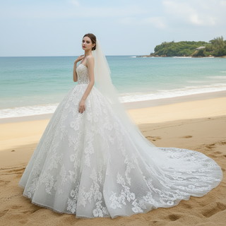 Strapless Ball Gown Lace Overlay Wedding Dress