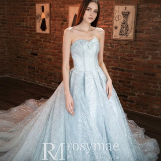 Strapless Sparkly Ball Gown Wedding Dress with Vneck - Rosymae