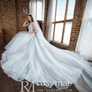 Strapless Sparkly Ball Gown Wedding Dress with Vneck - Rosymae