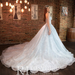 Strapless Sparkly Ball Gown Wedding Dress with Vneck - Rosymae