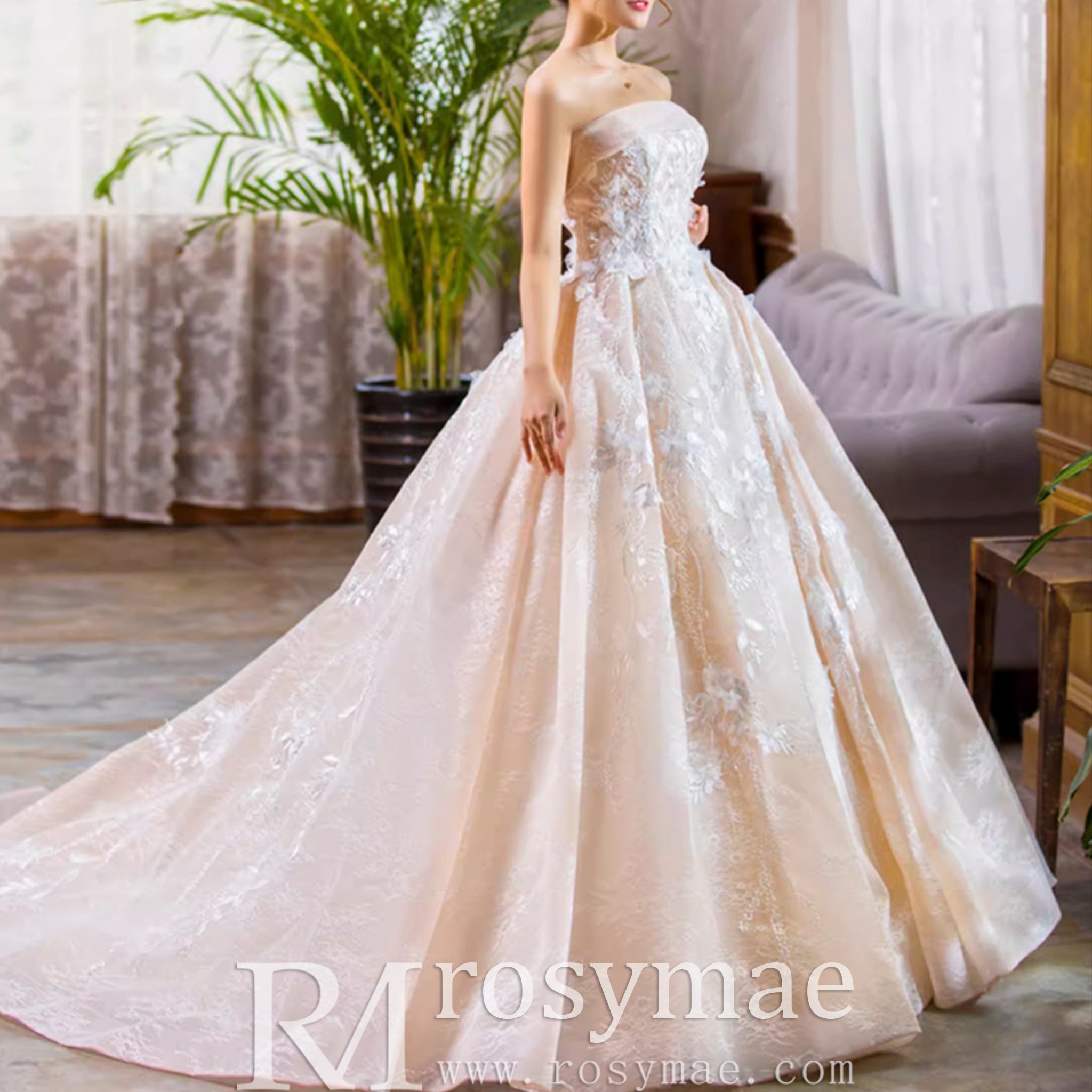 Strapless Tulle Lace Ball Gown Wedding Dress with Straight Neckline - Rosymae