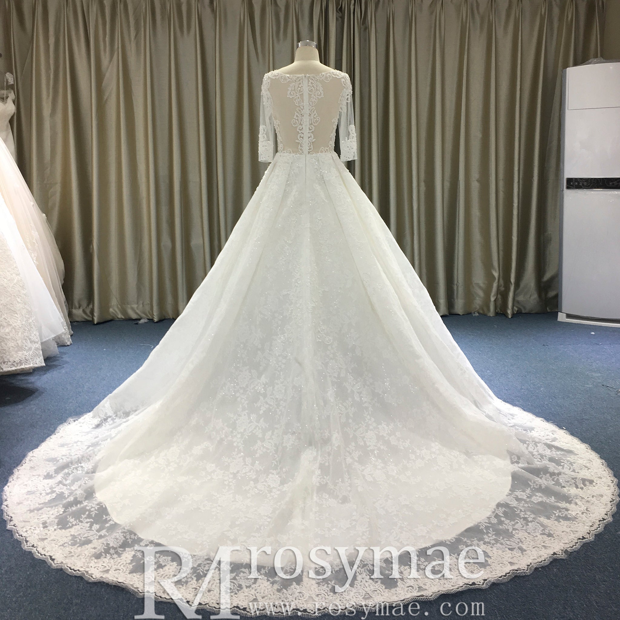 Vintage Sheer Back Half Sleeve Lace Wedding Dress with V-neck - Rosymae