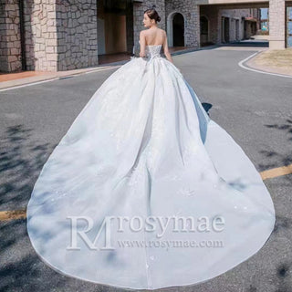 Ball-Gown-Wedding-Dress-with-Train