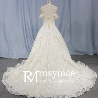 Champagne-lace-off-the-shoulder-bride-wedding-dress