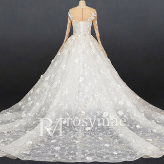 Unique Long Sleeve Ball Gown Wedding Dress with Sheer Neckline