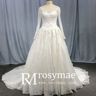 Luxurious Lace Illusion Long Sleeve Ball Gown Wedding Dress