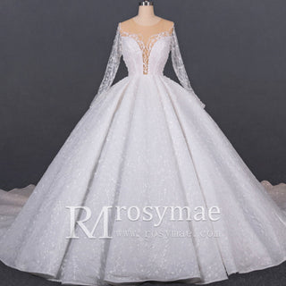 Gorgeous Long Sleeve Ballgown Wedding Dress with Plunging
