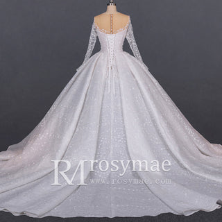 Gorgeous Long Sleeve Ballgown Wedding Dress with Plunging
