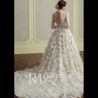 Luxurious A Line Feathers Skirt Wedding Dress with Long Sleeve